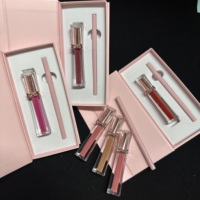 Ensemble de maquillage pour les lèvres 2 en 1, rouge à lèvres liquide et crayon à lèvres, ensemble de maquillage pour les lèvres en gros