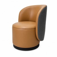 Fauteuil de salon moderne en cuir avec accoudoirs, idéal pour les hôtels, salles d'attente et chambres.