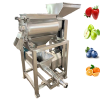 Dzjx Industriële Ontsteniging-En Pulpmachine Fruitpuree Groentepulp Makende Machine Tomatenvruchtenpulp Extractie
