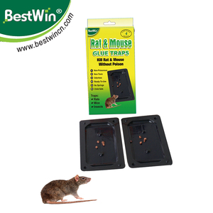 Trampas Adhesivas para <span class=keywords><strong>Ratones</strong></span>, Impermeables, Ecológicas y Desechables, para el Control de Plagas - Product Image 2