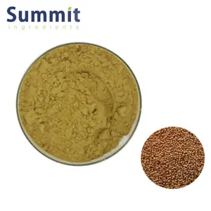 High Quality 20:1 Mustard Extract Powder Brassica Alba Extract Powder Mustard Extract
