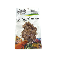 Insecte comestible sauterelle prix de gros Eco frais sauterelle Reptile nourriture tortue nourriture
