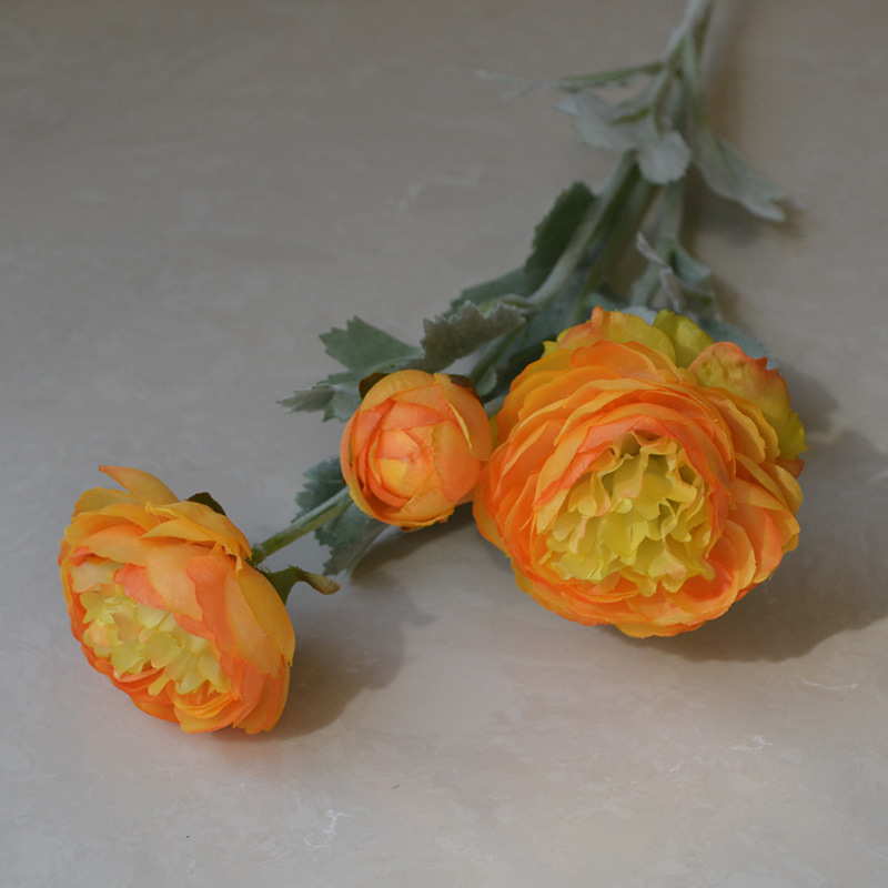 Yellow orange