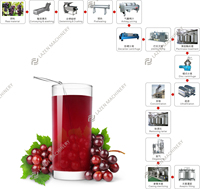Solution clé en main pour la machine de fabrication de jus de raisin/vin Ligne de production de concentré de jus NFC de raisin