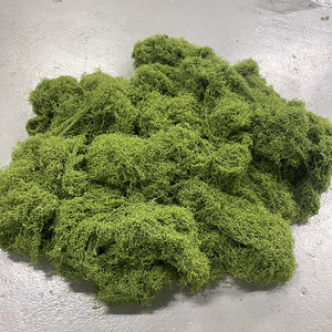 Vente en Gros Usine Tissu <span class=keywords><strong>Mousse</strong></span> Artificielle Cheveux Blancs, Gazon Filamenteux, <span class=keywords><strong>Fleurs</strong></span> & Plantes Décoratives Ne Perdent Pas Leurs Poils et Ne Se Fanent Pas - Product Image 6