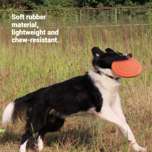 Yaratıcı köpek uçan disk özel Logo yüksek irtifa güç disk köpek interaktif oyuncak - Product Image 3