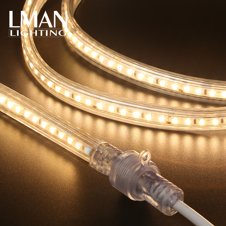 House Decoration Male Female Connection PVC Coating IP65 Waterproof SMD 2835 AC 230V Led Strip Lamp