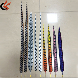 Màu Sắc Tùy Chỉnh Kích Thước Khác Nhau Thực Tế Thân Thiện Với Môi Trường Giá Rẻ Mô Phỏng Gà lôi Lông - Product Image 1