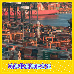 Logística de Carga Hon Hai en África, Transporte Marítimo y Aéreo, Servicio Puerta a Puerta en África - Product Image 4