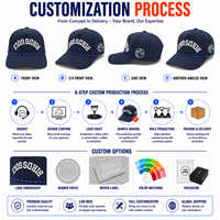 Gorra de Golf Personalizada de 5 Paneles, Perforada con Láser, Bordado 3D, Impermeable, de Secado Rápido, Transpirable, OEM, Venta al Por Mayor, Deportes al Aire Libre
