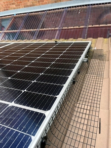 Malla de alambre de acero soldada con revestimiento de PVC negro para protección de paneles solares, con servicio de corte para redes antipájaros - Product Image 2