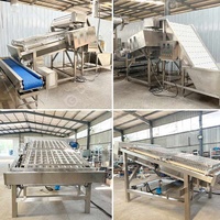 Peel Equipment Processing Skin Remover 300kg Peel Removal Machine d'éplucheur en acier inoxydable Grind Shrimp Shell