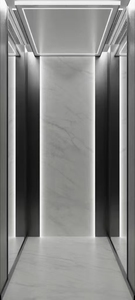 Lift Rumah untuk Vila, Apartemen - Bersertifikat CE, Desain Ringkas, Hemat Energi, Aman, Tenang, Instalasi Khusus - Product Image 4