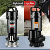 Nouvelle Arrivée Pompe à Eau Submersible Monophasée QDX à Haute Pression et Économe en Énergie, Modèle OEM pour l'Alimentation en Eau des Fermes