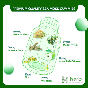 Gomitas de Musgo Marino Orgánico de Marca Privada OEM/ODM, Desintoxican y Limpian el Cuerpo, Mejoran la Inmunidad y la Energía, Gomitas Veganas de Musgo Marino Irlandés - Product Image 2