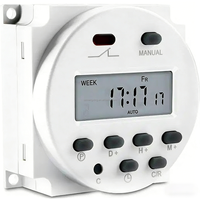 Interruptor Temporizador Digital CN101A, Microcomputador de Control de Tiempo para Fuente de Alimentación 12V/24V/110V/220V 16A, Control de Potencia -20C~55C