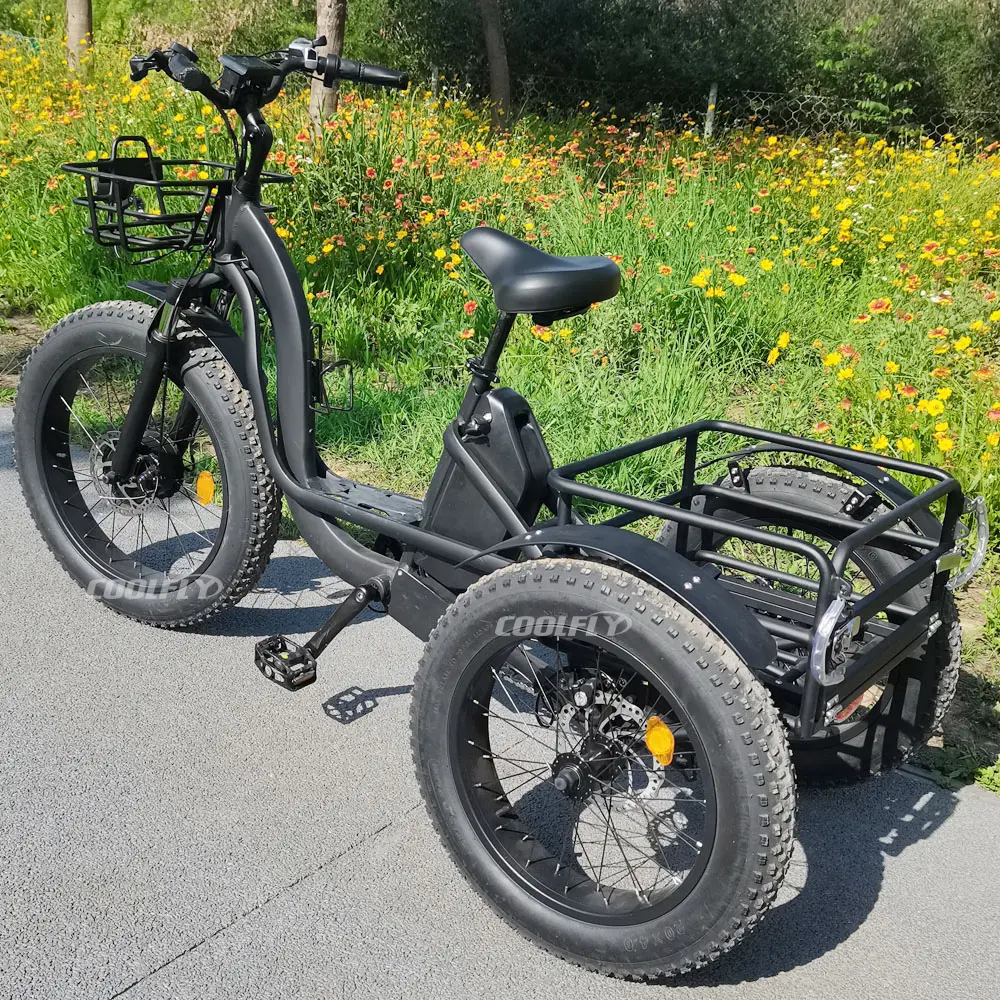 Yüksek kalite ön motor 3 tekerlekler e kargo bisiklet 500W 750W 1000W 7 hız trike ile boy eyer elektrikli tricycl