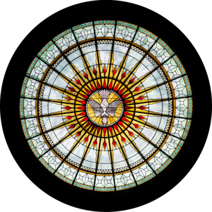 Lente Gobo de Vidrio TMUT de 66 mm con Anillo Gobo, Fuente de Luz LED, Clasificación IP68, Precio de Fábrica, Luces de Haz Personalizadas para Publicidad/Escenario - Product Image 5