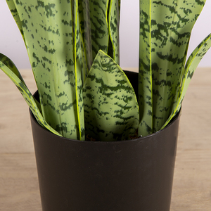 Plantes artificielles <span class=keywords><strong>de</strong></span> 50 cm en plastique, type 'Mother-in-Law's Tongue', pour décoration intérieure - Product Image 4