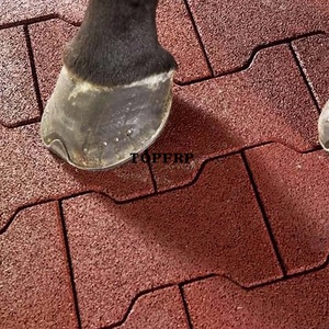 Baldosa de Goma Antideslizante de Alta Densidad para Establos de Caballos, Tipo Hueso de Perro - Product Image 6
