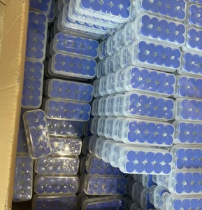 Viales de Vidrio Transparente Estériles para Uso Médico con Tapas de Aluminio Selladas Multicolores |   Suministro Masivo de Polvo Liofilizado y Congelado Beau - Product Image 4