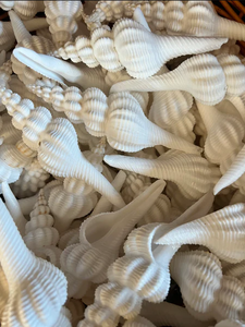 HLESATAAND T SELMEETIIVRRIFFRRROM M IE - Product Image 4