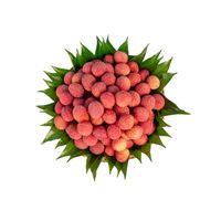 Vietnam Biologische Premium Verse Lychee Fruit Luc Ngan Sappige Smaak Zoet Aroma 10 kg/doos 10mm 12 Maanden Houdbaarheid Wereldwijde Export