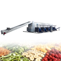 Snelle En Continue Tunneldroger Voor Voedsel Grote Voedseldroger Bananen/Mango 'S/En Druiven Druivendroger Machine