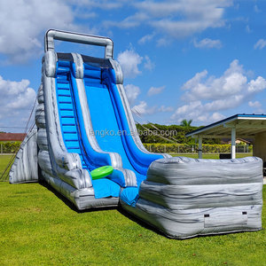 Toboggan aquatique gonflable populaire et abordable, idéal pour les locations de fêtes, <span class=keywords><strong>avec</strong></span> souffleur d'air – Nouveauté très demandée - Product Image 3