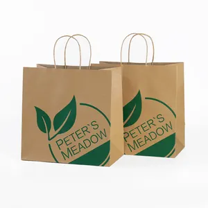 Biodegradable Reusable Custom Design Logo Printed Brown Kraft Craft Boutique Paper Shopping Bags With Rope Handle
