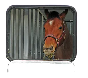 USA America horse trailer motorhome drop down feed window horse transport sliding window for use