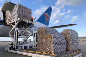 Envío Económico a Estados Unidos desde China, Agente de Carga, Logística, Envío por DDP - Product Image 2