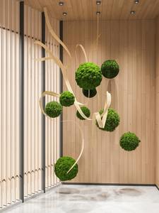 Gran oferta, Bola de techo de musgo <span class=keywords><strong>Marimo</strong></span> verde preservada Natural para decoración interior para el Día de la madre, graduación, Día de San Valentín, Navidad - Product Image 6