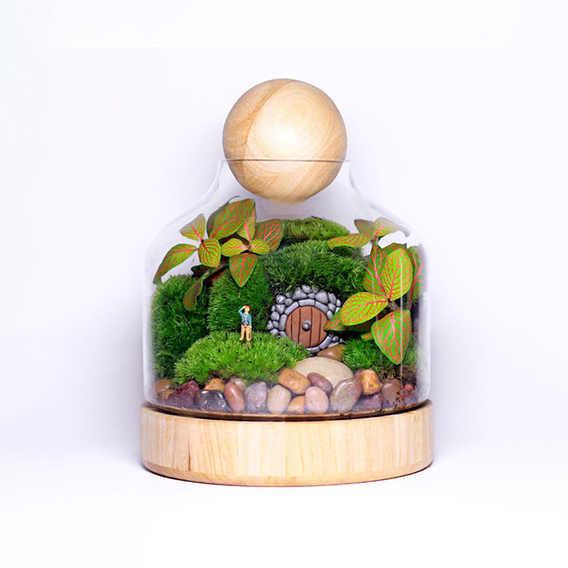 Arredamento per la casa di vetro forma rotonda terrario contenitori di vetro barattolo di vetro terrario con Base in legno terrario paesaggio e pianta acquatica