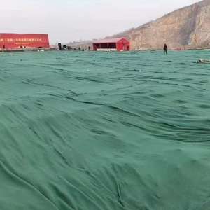 Vente directe en usine de géotextile vert 100gsm pour la prévention de la poussière sur les chantiers de construction et la protection des arbres contre le froid - Product Image 1