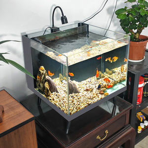 Acquario da Tavolo con Filtrazione Posteriore a Secco/Umido, Piccolo Acquario con Mobiletto, Piedini Rialzati, Imballaggio in Cassa di Legno, Articoli per Animali Domestici - Product Image 3