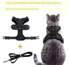 Collier et laisse pour animaux de compagnie, chiens et chats, réglable en été, laisse de marche ultra-fine, couleur et taille personnalisables - Product Image 4