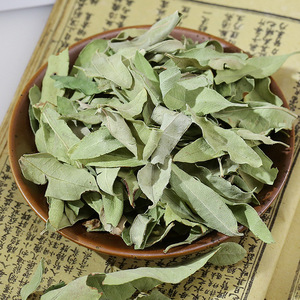 Chinesische Natürliche Getrocknete Grüne Kräuterblätter von Apocynum Venetum für Tee - Product Image 5