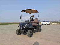 Voiturette de golf classique, prix usine, 6 places, essence, rétro, Chine, CE, freins à disque avant/arrière 48V, feux LED, autonomie 3M 90km