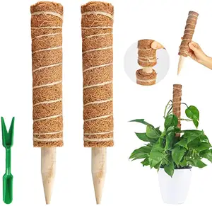 Plant Ondersteuning Oosterse Kokosvezels Moss Pole Stick Grote Klimmen Planten Uitschuifbare Outdoor Standbeelden Hout Totem Polen