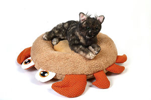 Fleece Velvet antideslizante Botfom Pet <span class=keywords><strong>Bed</strong></span> Nuevo diseño Sofá Linda forma de cangrejo Cómodo Acogedor Pet Sleeping Custom Pet Beds - Product Image 6