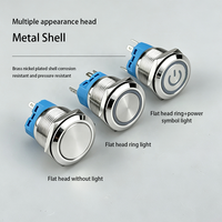 12mm 16mm 19mm 22mm 25mm 30mm IP65 Sakelar Tombol Tekan LED Cincin Bercahaya Elektronik Tahan Air Logam dengan Pengunci dan Mode Momentary