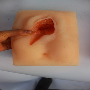 Model Latihan Jahitan Vulva Tingkat Lanjut Model Praktik Penjahitan <span class=keywords><strong>Vagina</strong></span> - Product Image 6