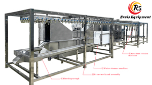 Ligne complète d'abattage de poulet Eruis à bon prix Machine d'abattage de poulet Bain d'eau électrique Superbe abattoir - Product Image 2