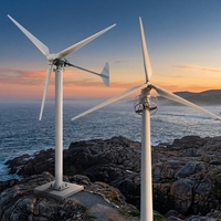Éolienne à axe horizontal 220 V 2026 Light Wind Mill à 3 pales pour maison et ferme