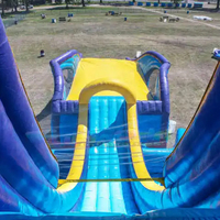 Château gonflable pour enfants et adultes, jeux gonflables aquatiques, toboggan aquatique géant gonflable, vente en gros d'usine