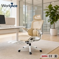 Chaise de bureau réglable avec coque ergonomique adaptative, certifiée BIFMA CE EN 1335, hauteur ergonomique, pour l'étude, vente en gros, fabricant, projets en vrac