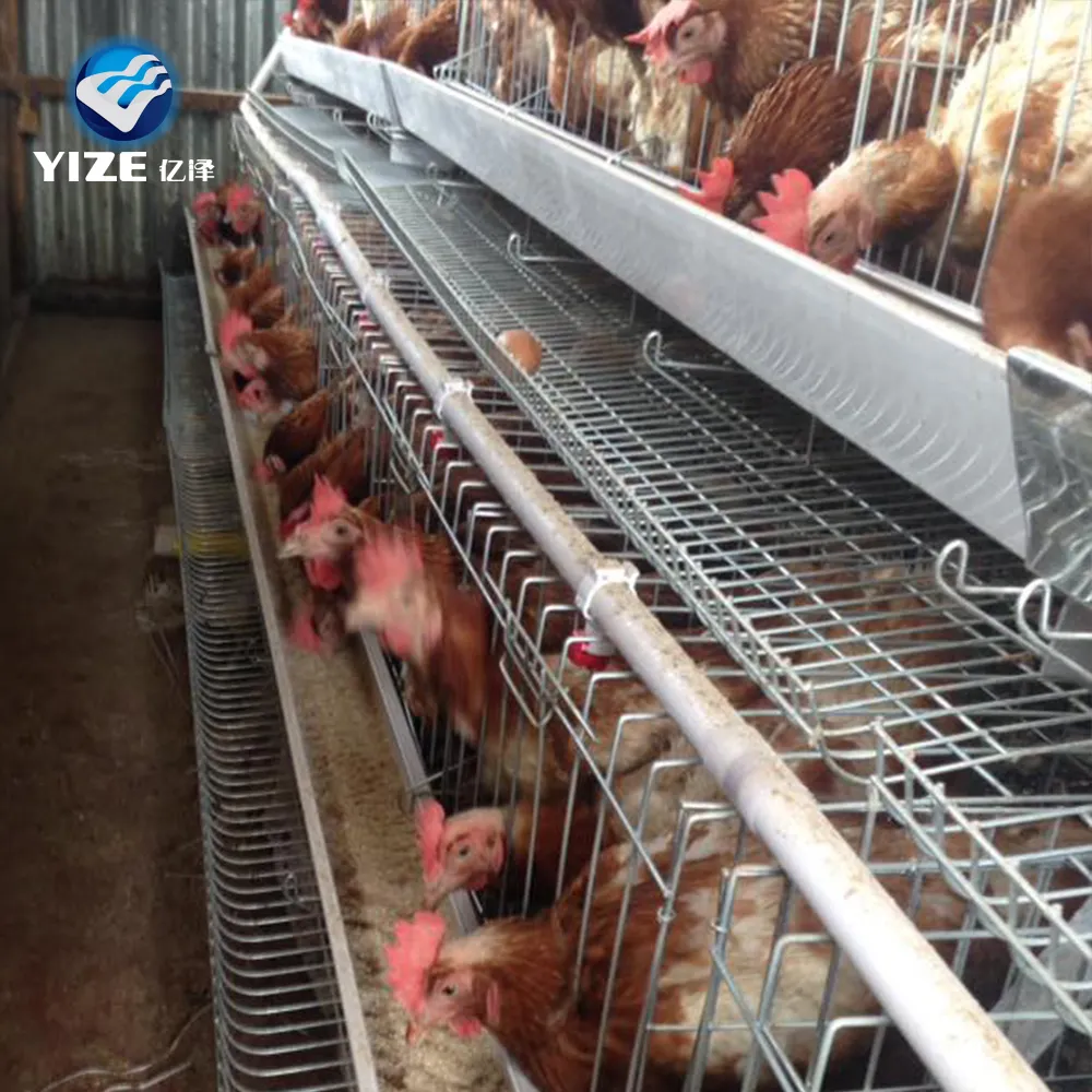 Um quadro tipo 3 camadas 4 redes galinhas poedeiras para frango usado gaiola de reprodução