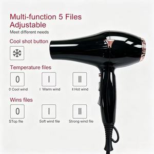 Secador de Pelo Iónico Plegable Profesional Compacto con Motor AC de Larga Duración de 2000W para Uso en Hoteles y Hogares - Product Image 2