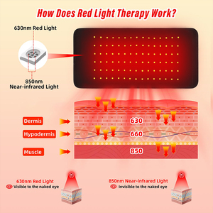 Cinturón de Terapia de Calor con Luz Roja de 630-850nm y 90 LED Infrarrojos para Alivio Profundo del Dolor Muscular, <span class=keywords><strong>Antiinflamatorio</strong></span> y Analgésico - Product Image 4